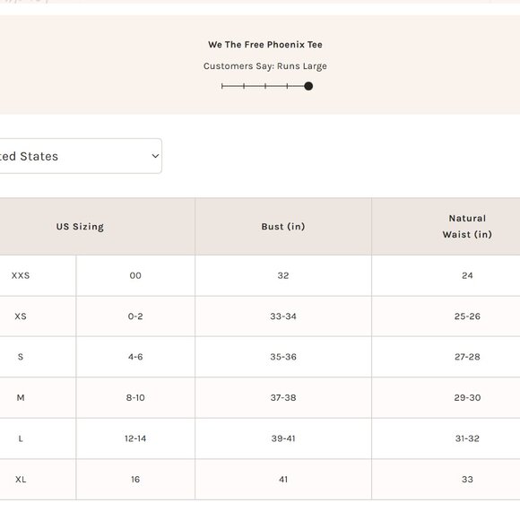 NWT Free People Phoenix Tee Size S - Picture 4 of 4